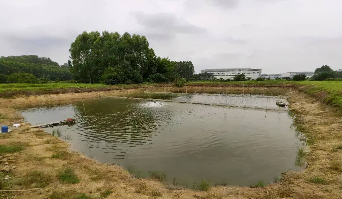 開春養魚要注意這五點