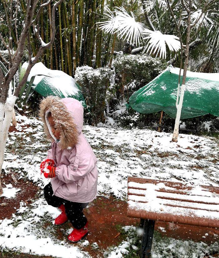 日子|昆明下雪了！春城的雪景真美丽！