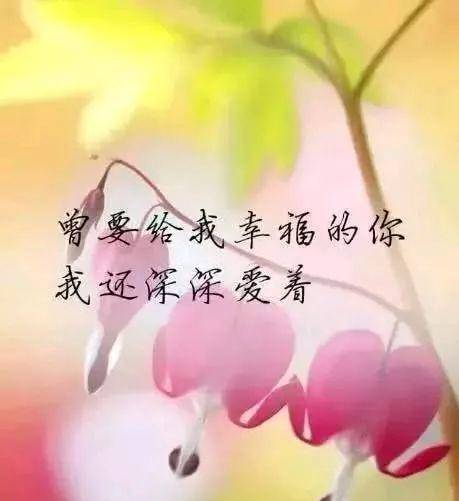 2ae44bb59ab844c28a56275fa075149b.jpeg