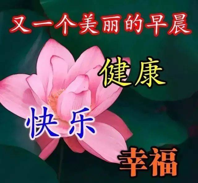原创2022春季最新版早晨好表情动图朋友圈早上好祝福语动态图片