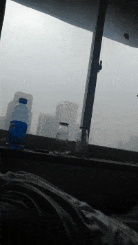 一溜儿|搞笑gif:死后最有尊严的一只鸡