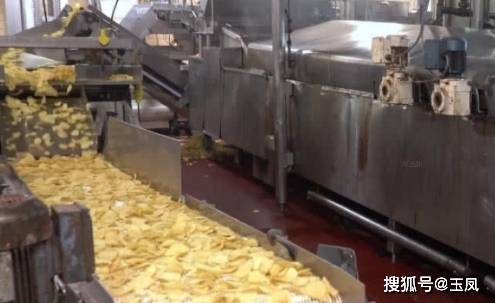食品|看完薯片加工过程,才知道薯片竟不是土豆做的,网友:被骗20年