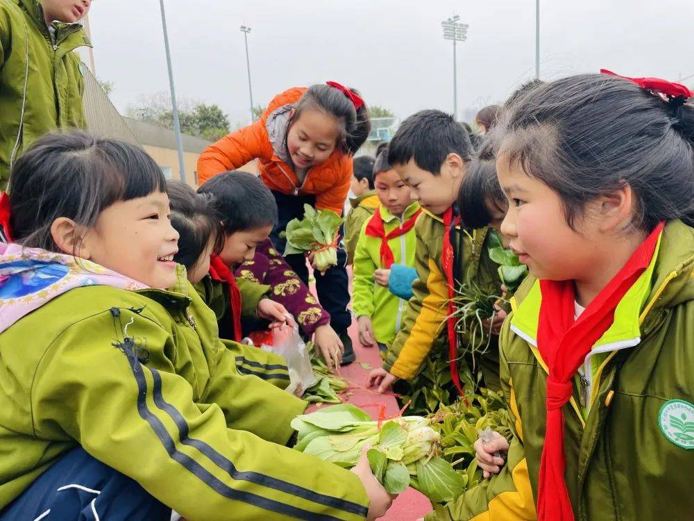 赣州师大附小图片