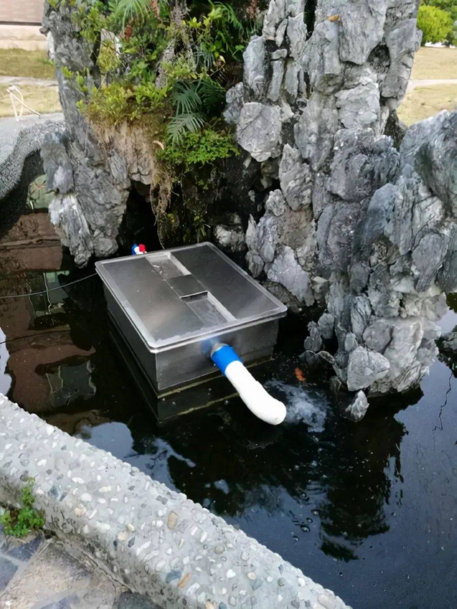 安装鱼池过滤系统其实很简单