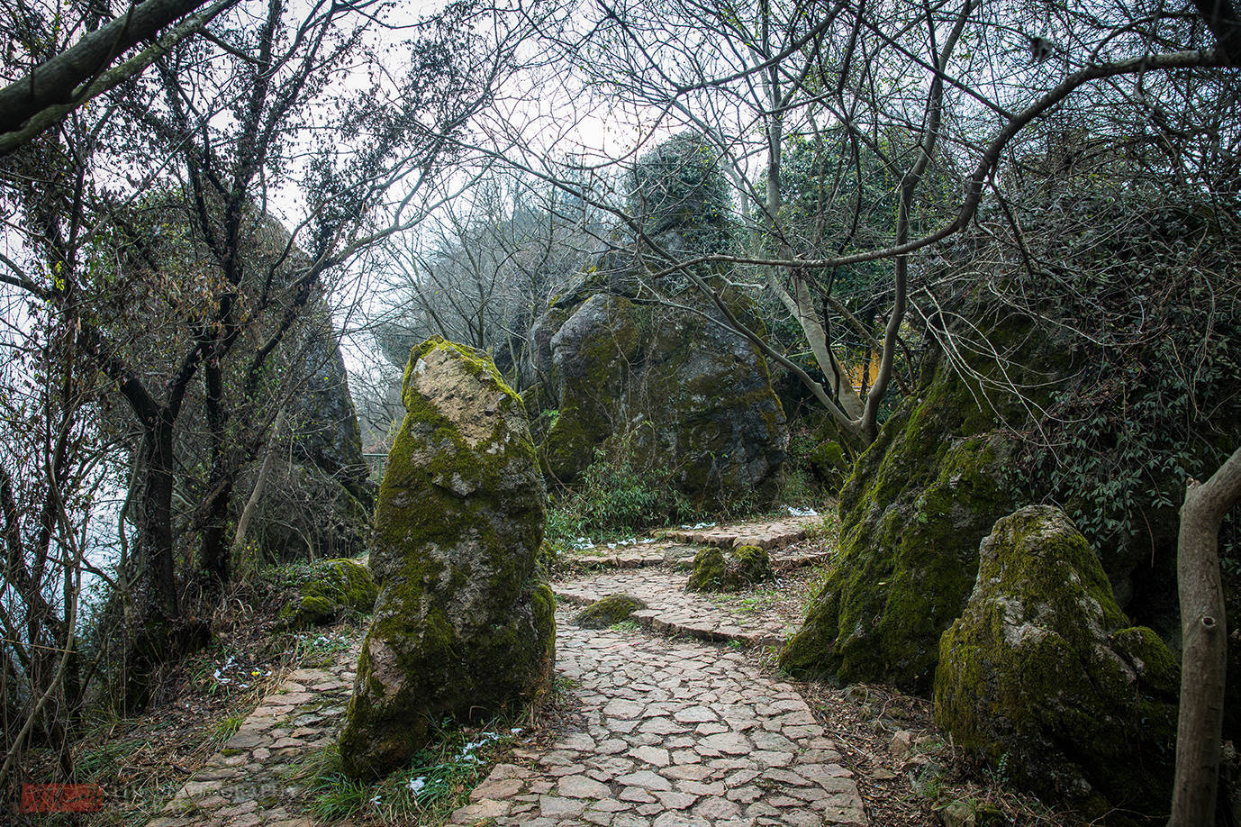 景点|杭州有个赏梅登山好去处，不用门票免费停车，就在市郊知道人不多