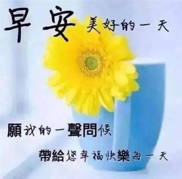 原創春天來了朋友圈最新早上好漂亮問候表情圖片新的一天早晨好祝福語