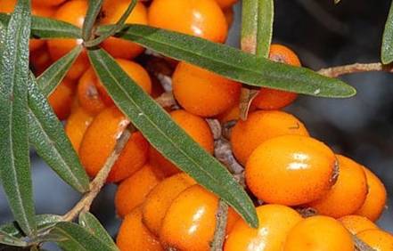 因为|3种致娃“脾胃衰竭”的早餐，很多家长还蒙在鼓里，赶紧住手吧