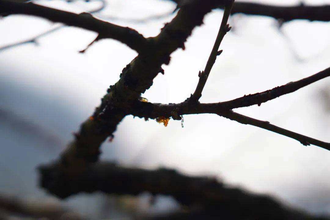 江南|浙江最没存在感的地区，很多人音都读不对，却是这样的江南秘境