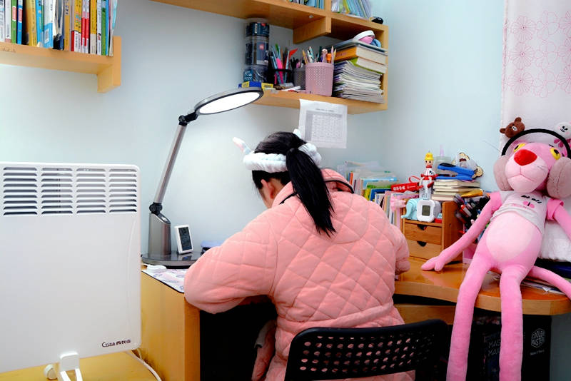 整屋供暖,智能恒温,西狄亚C16欧洲原装进口电暖器开箱体验