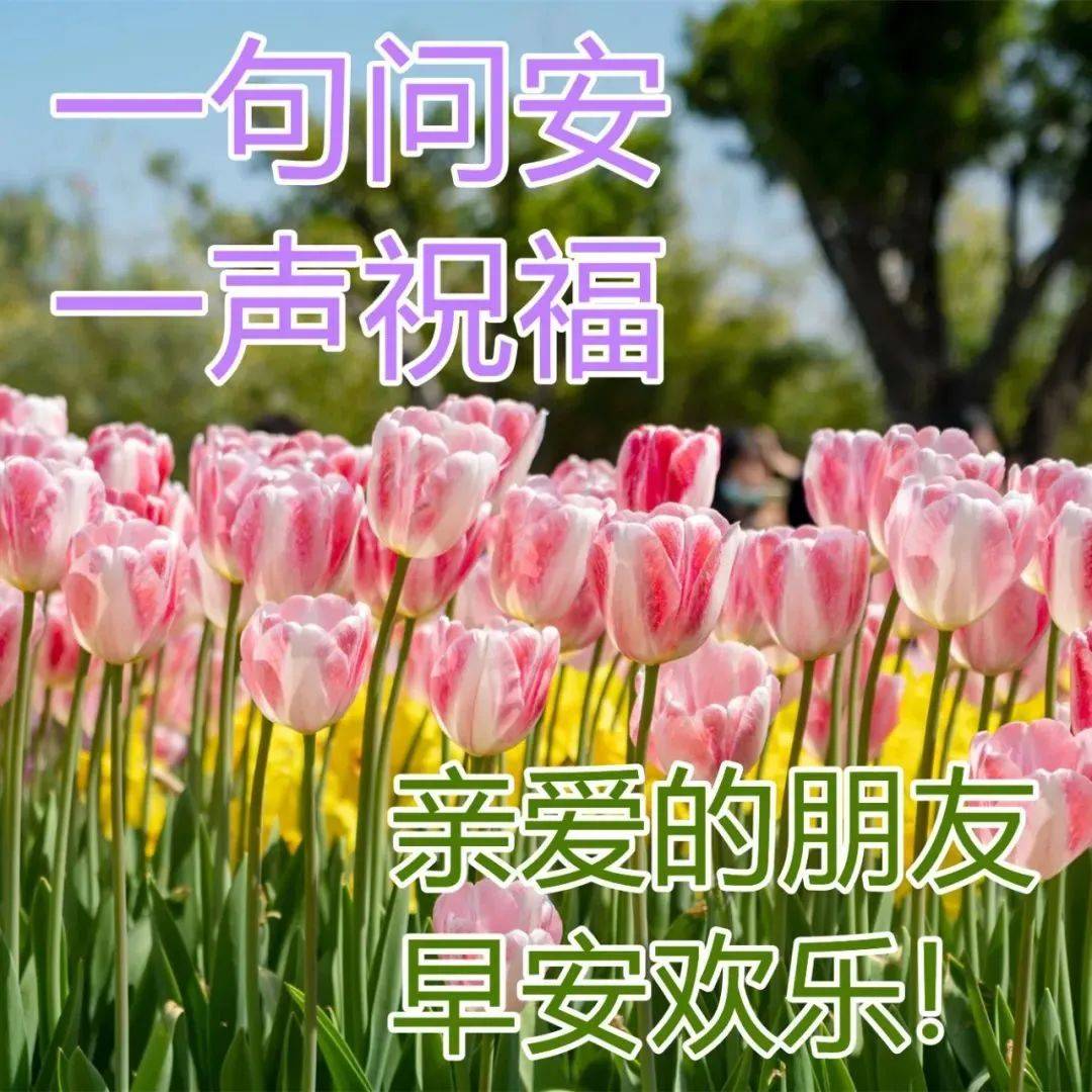 原创8张创意好看的春日清晨早上好祝福图片免打字聊天的早安问候祝福