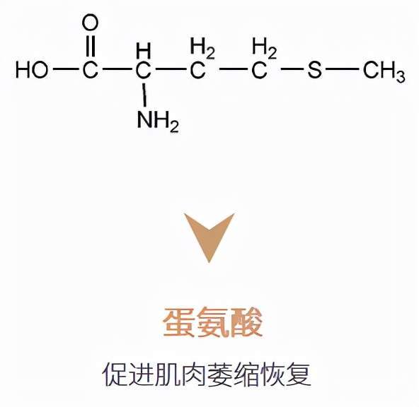 海水珍珠护肤 | 探寻焕亮肌密·「 珍珠母液细胞修复 」