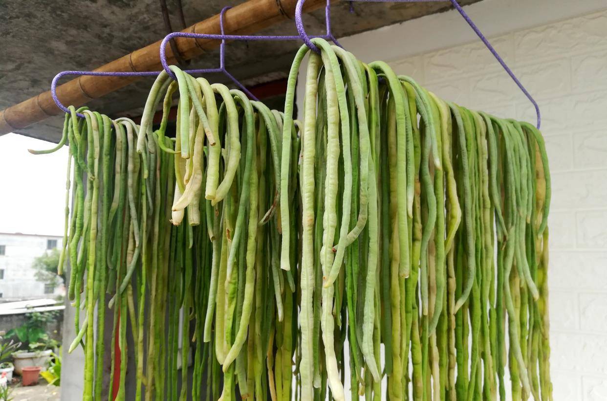 三伏天晒干豆角牢记3点放半年不会坏秋冬炖肉吃真香