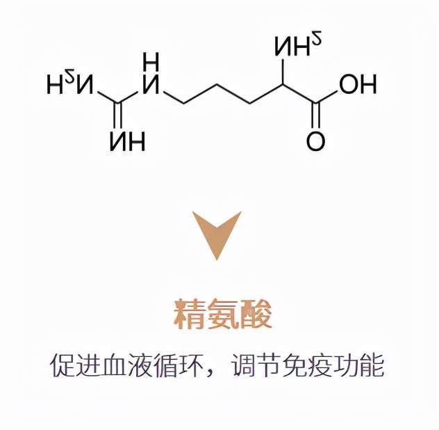 海水珍珠护肤 | 探寻焕亮肌密·「 珍珠母液细胞修复 」