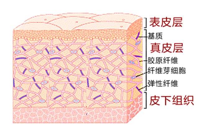 面部|所有女生注意啦 新抗衰好物分享——心辰玻尿酸是什么 真香定律告诉你