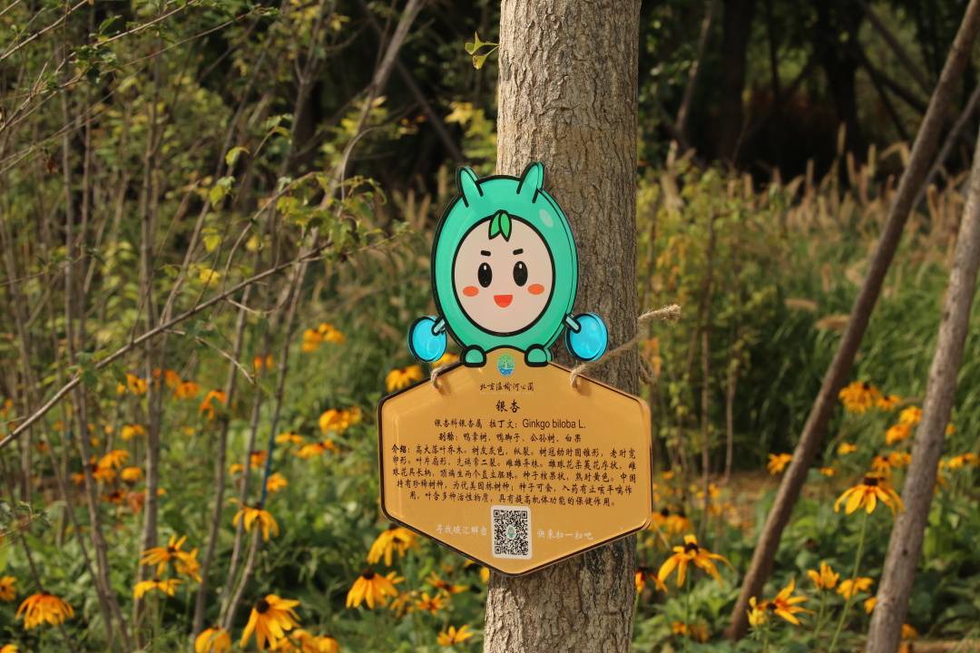 植物科普"身份证"当积分达到规定数额时,使用积分兑换功能换取ar