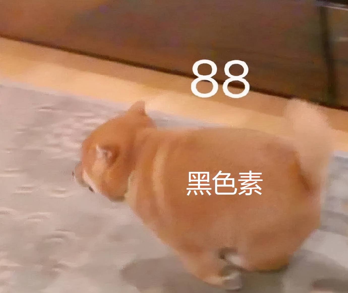 平台一夜之间风靡全平台的“白开水妆容”,有多白?