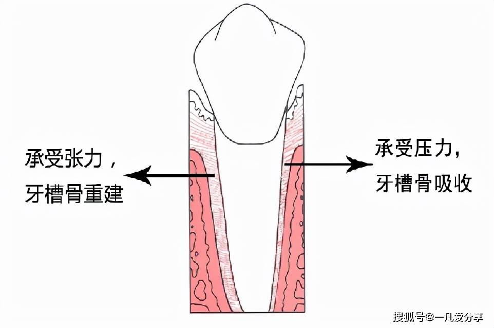 文章配图-2