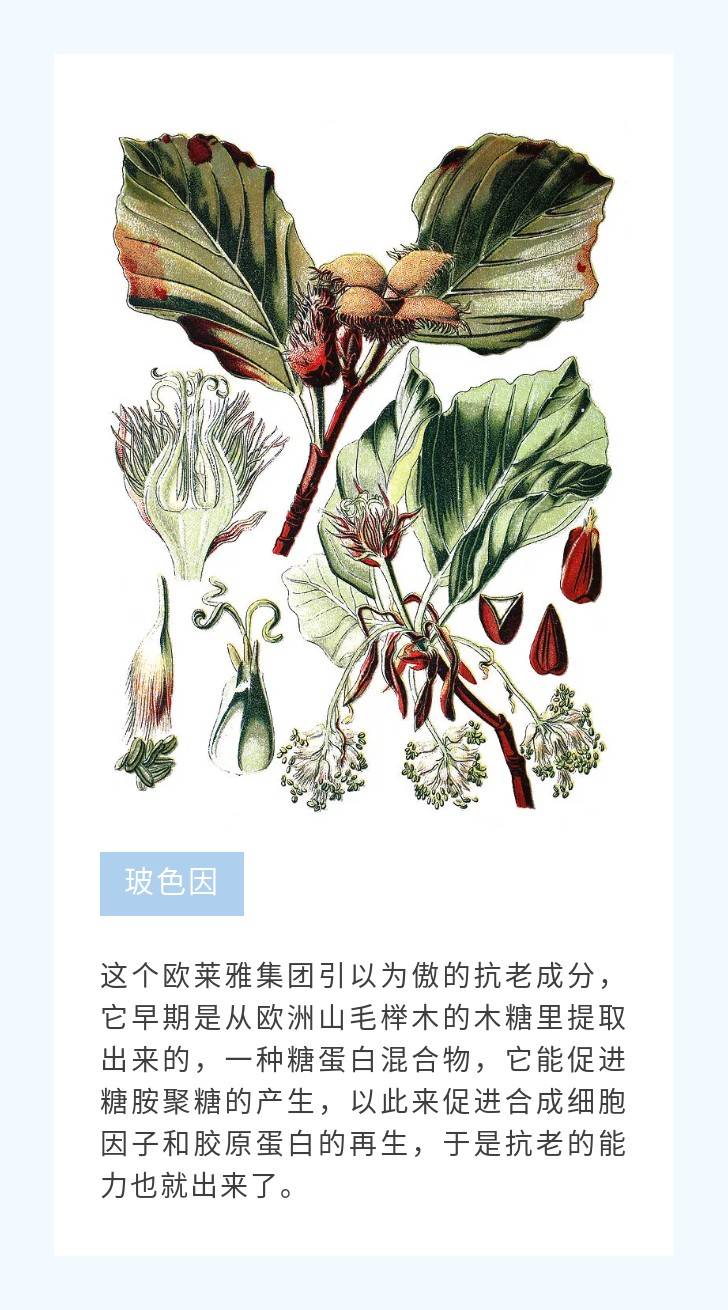 参考价格植物护肤品，植物提取物，怎么又成智商税了？