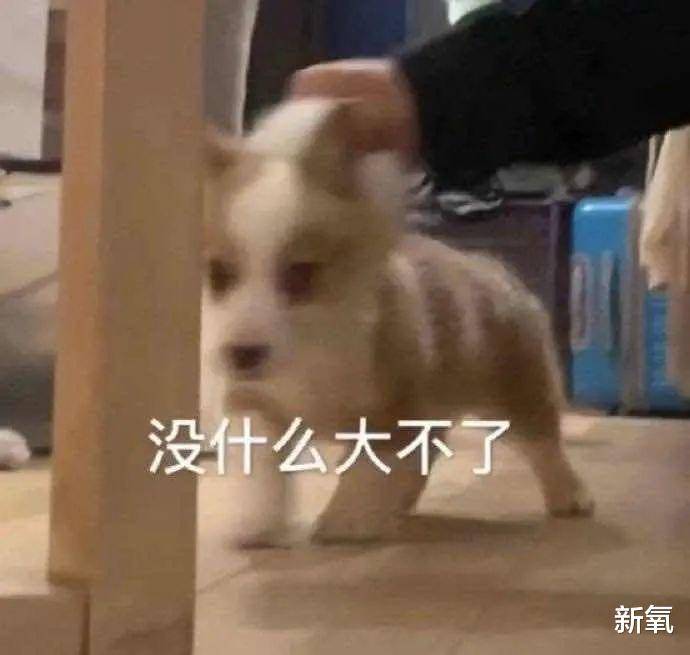 血管比姨妈来得还准的春季综合症，烂脸还算是轻微的？