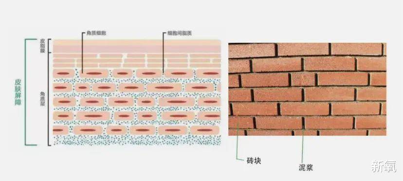 血管比姨妈来得还准的春季综合症,烂脸还算是轻微的?