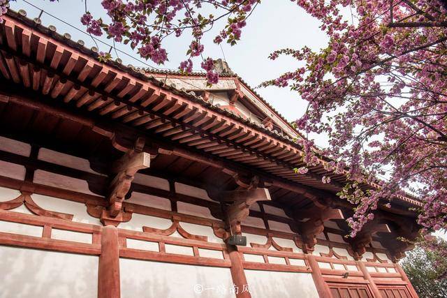 长安城|西安青龙寺，中国十大赏樱胜地之一，春天梦幻唯美还免费开放