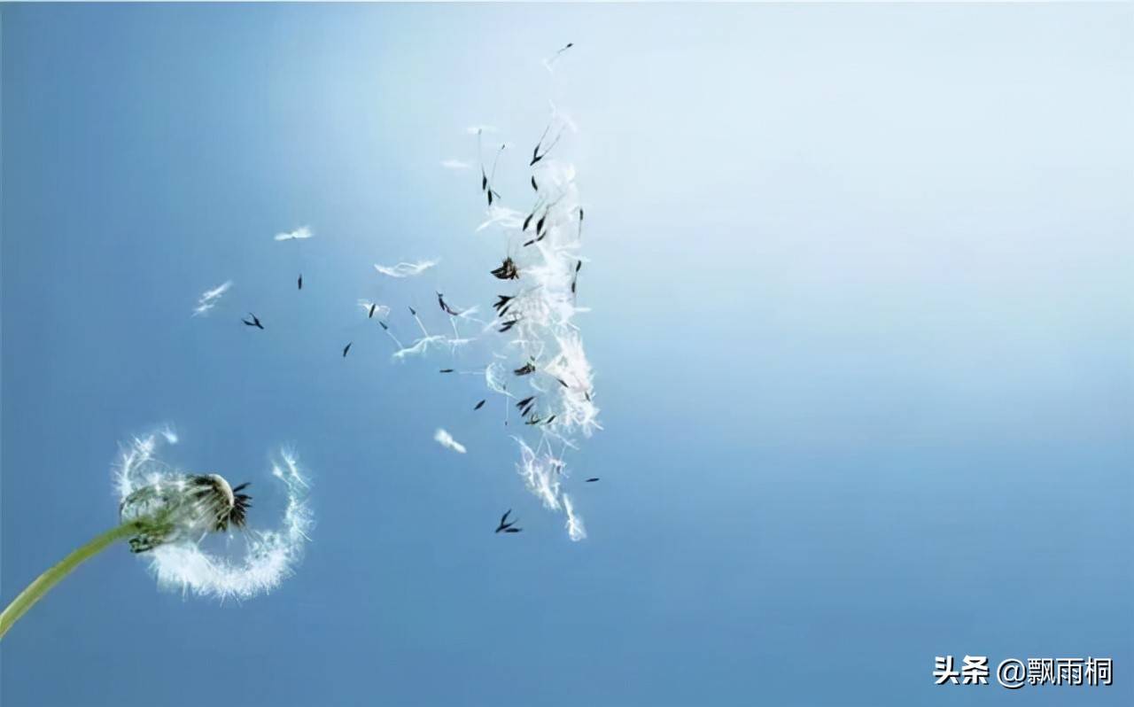 地下|男人有哪些不易察觉的魅力,让你心甘情愿爱下去?