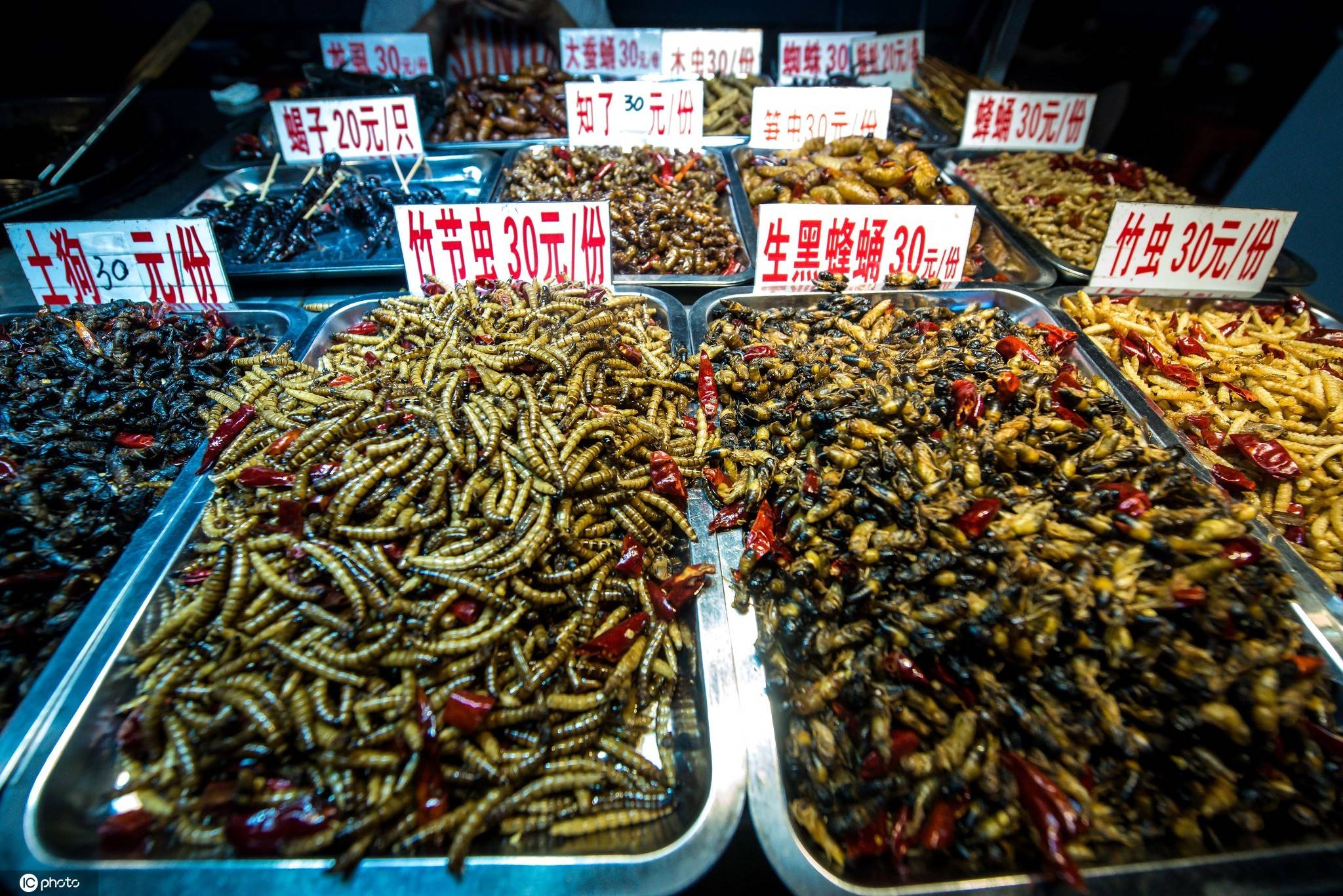 养殖可食用昆虫前景