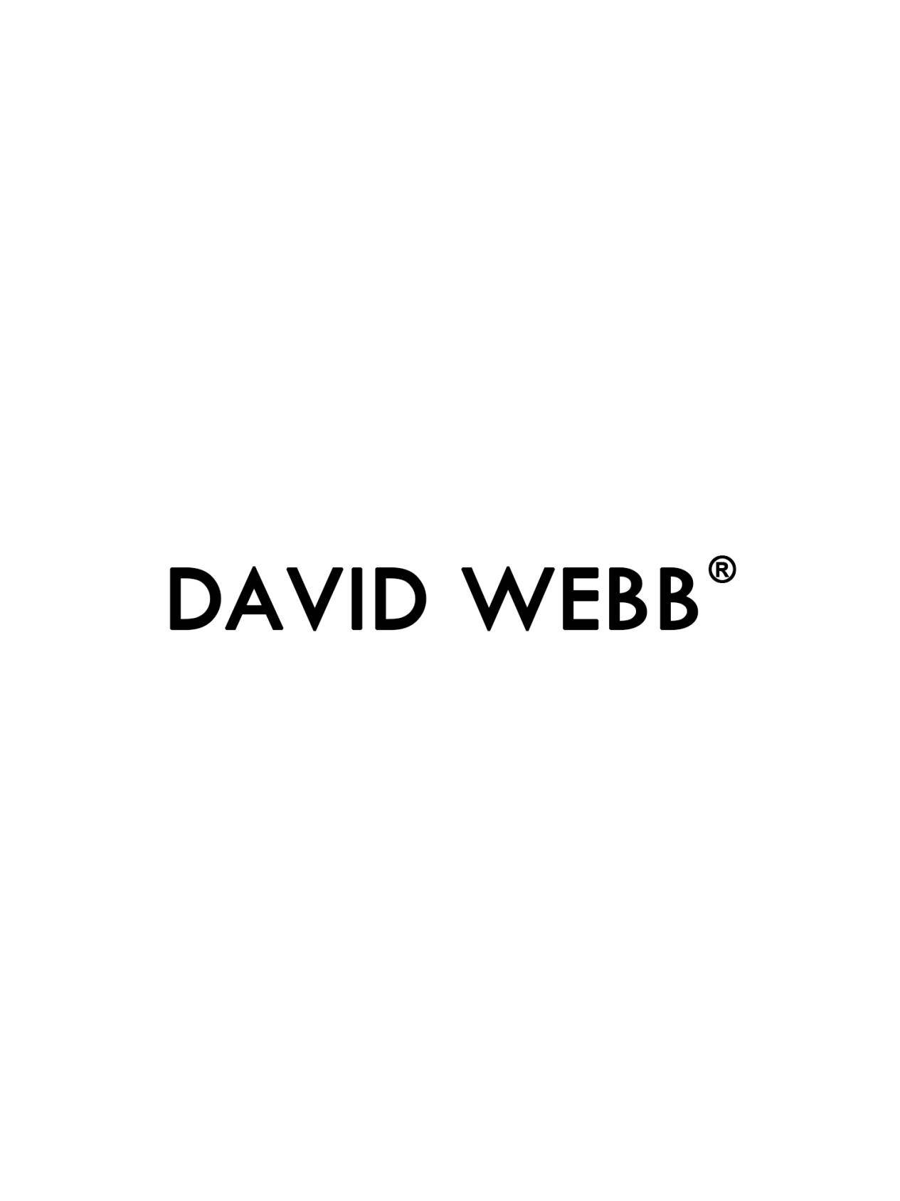 品牌 DAVIDWEBB戴维·韦伯女装入榜2017年美国最具影响力十大女装品牌