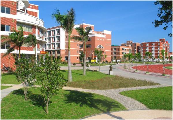 大学生希望自己的大学校园里能增加些什么服务