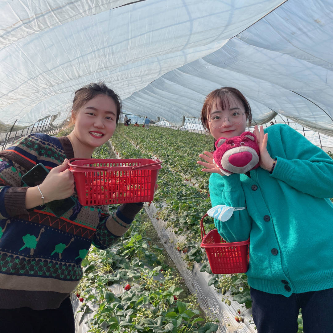 女神节摘草莓主题图片