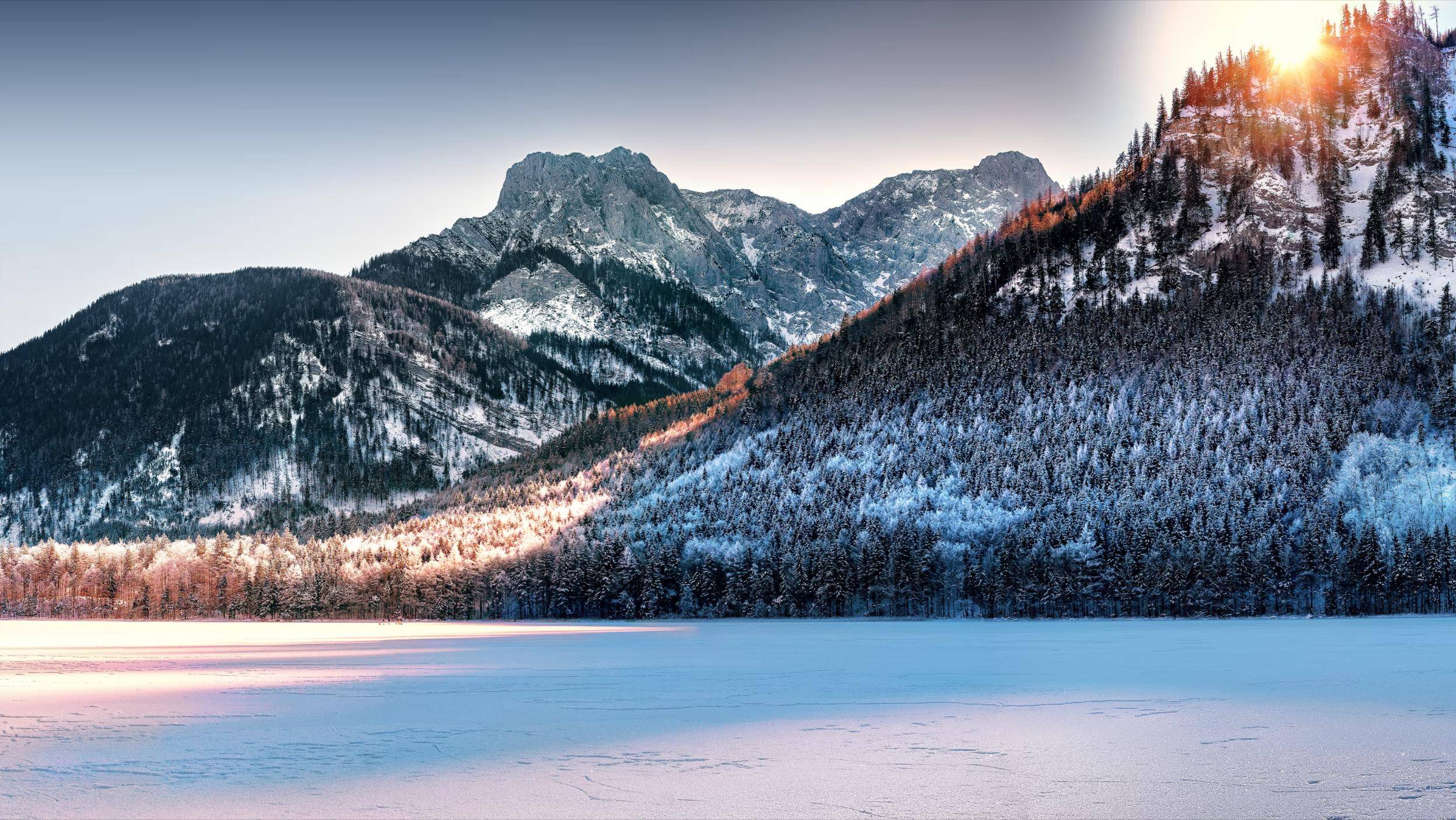 原创具备狡猾和谋略高深莫测的星座他们心思深邃有着锐利的目光