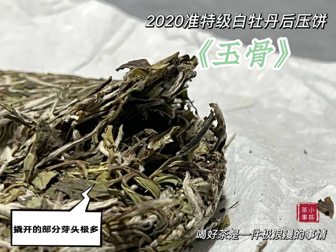 茶叶|润茶10秒,老白茶的醇厚感提升100%,网上教的泡茶教程,能信吗?