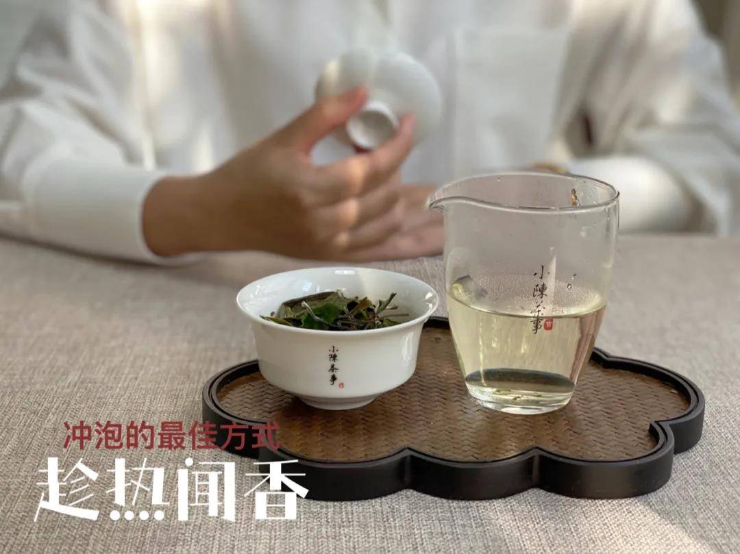 茶叶|润茶10秒,老白茶的醇厚感提升100%,网上教的泡茶教程,能信吗?