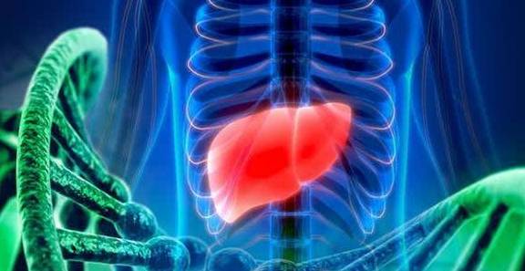 肝脏|肝脏病变的“根源”被发现了，并不是喝酒，它才是“始作俑者”