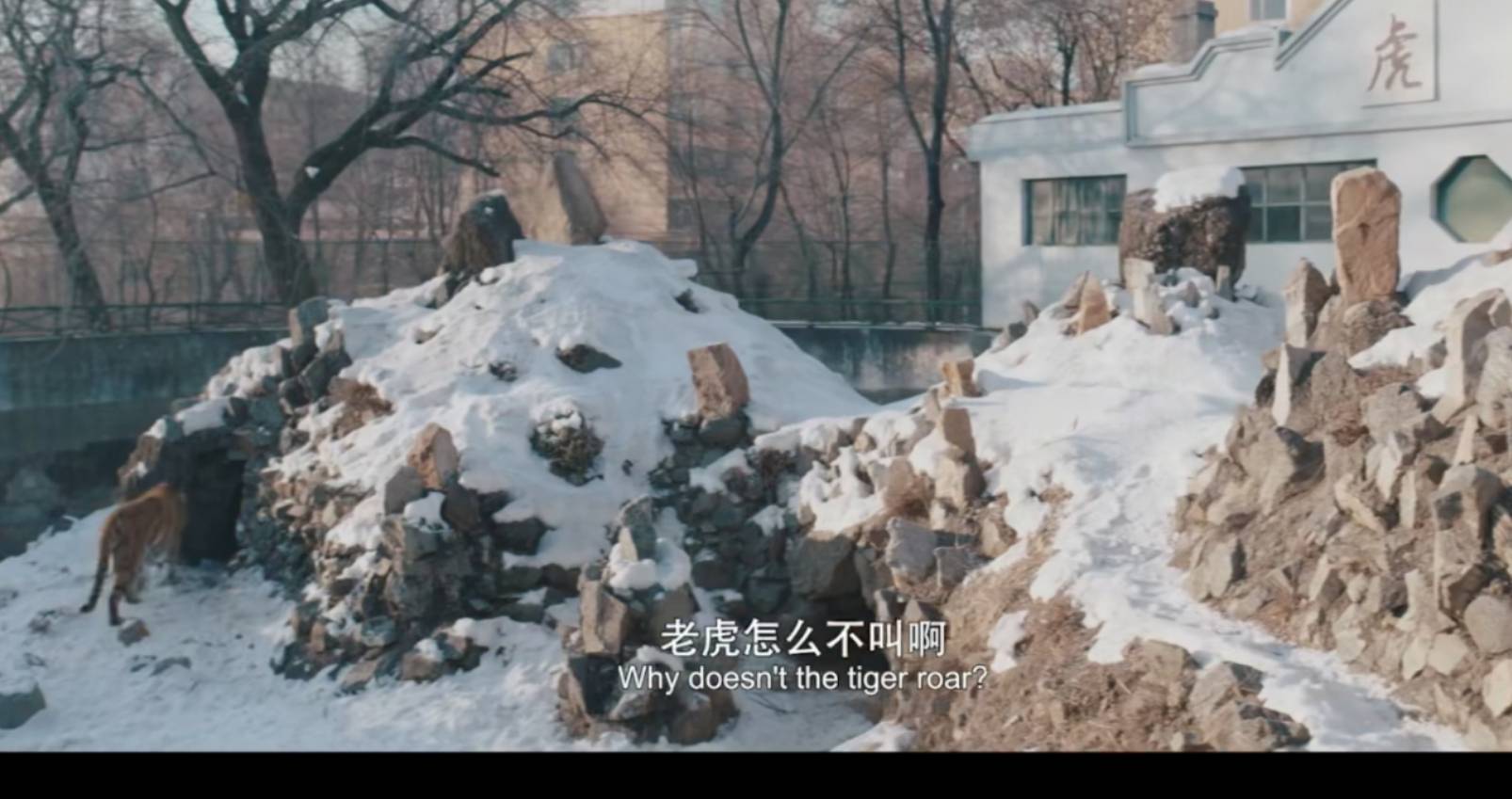 亲戚|从《我不是药神》里“黄毛”，到《东北虎》的渣男徐东，章宇到底经历了什么？