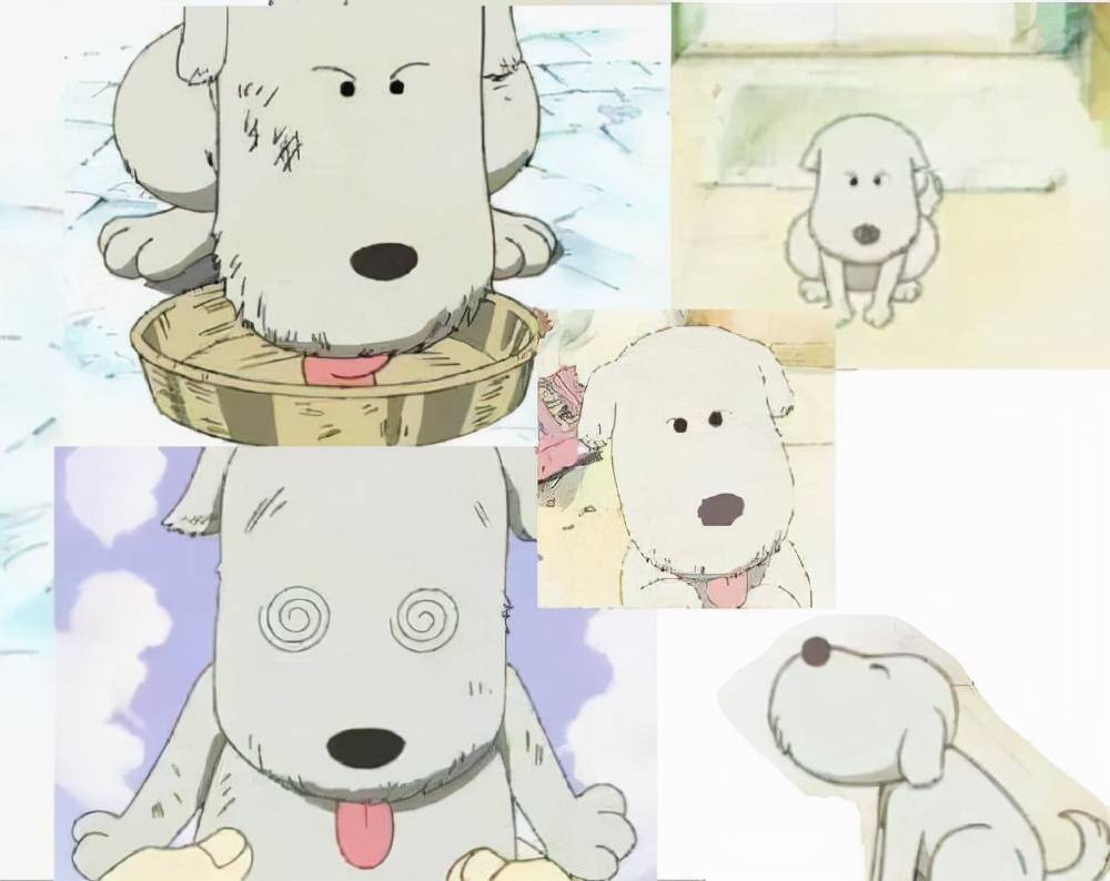 海贼王泪点大盘点哪个情节让你泪目一