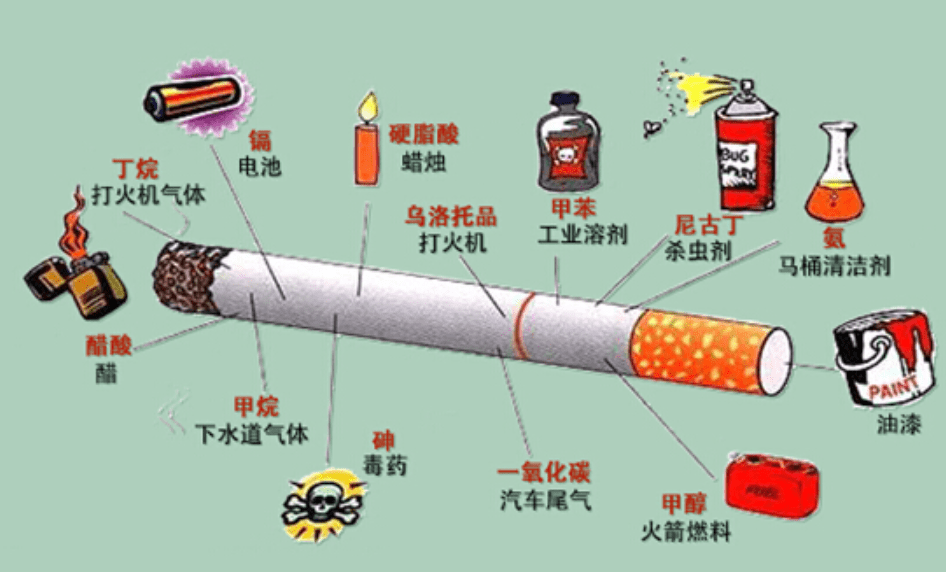 一支烟的化学成分烟草商们很快就从市场上买来不少猎犬用作实验,并且