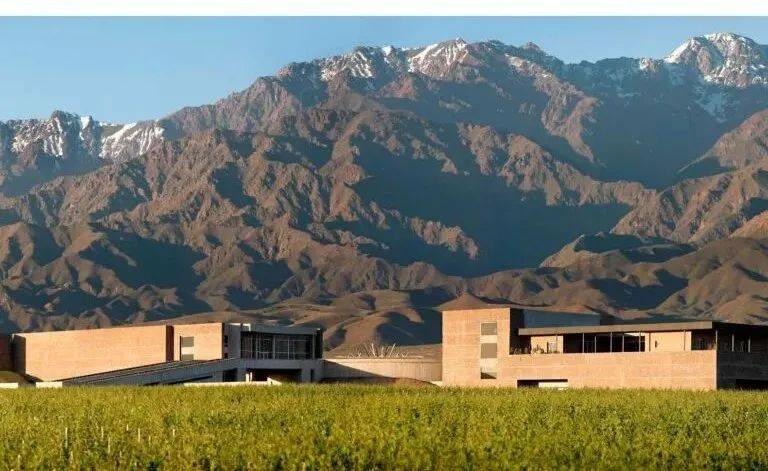 格拉夫 6 大红白双栖列级庄之马拉帝_酒庄_de_chateau