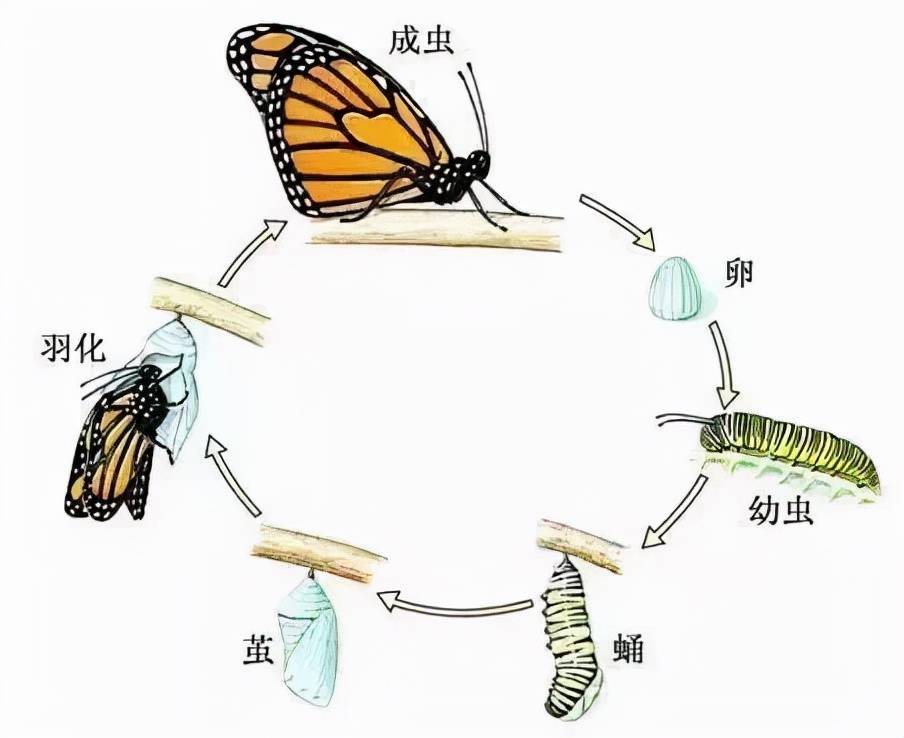 追随着孩子们的好奇心和孩子们一起探索