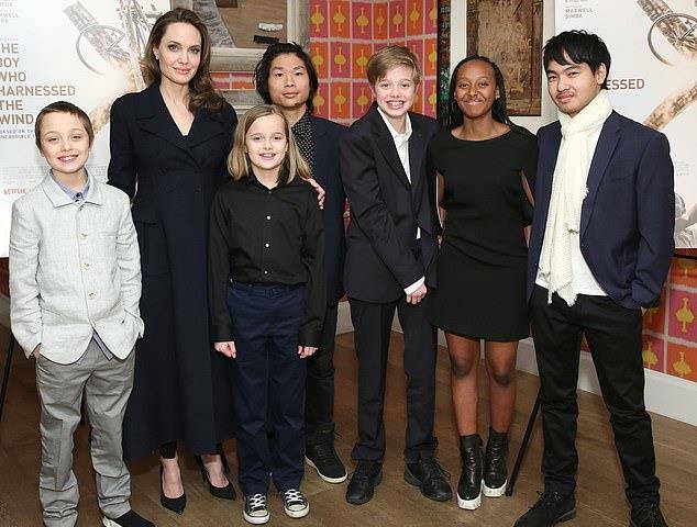 布拉德皮特朱莉亲生孩子 084ac5be4bc246ec8f317d8184705201.jpeg