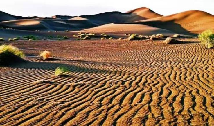 新疆沙漠的沙子到底有多厚呢？说出来你都不一定会相信，涨见识了