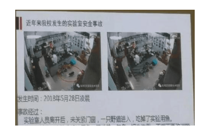 同学|成都某高校组织拔草,学妹把学长"毕业论文"拔了,终于可以做同学了