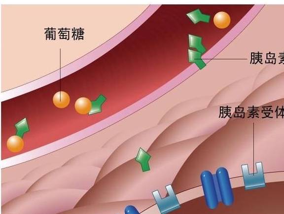 症状|血糖高了对人体有什么影响？若出现5个症状，小心糖尿病找上门