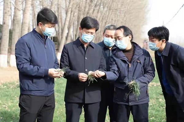 农业农村部下沉一线包省包片夺夏粮小麦丰收行动山西组在临汾调研指导