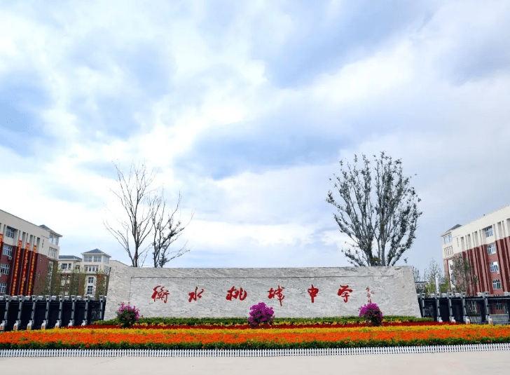 原创双减动真格了衡水一中学因违反双减要求被罚停止招生