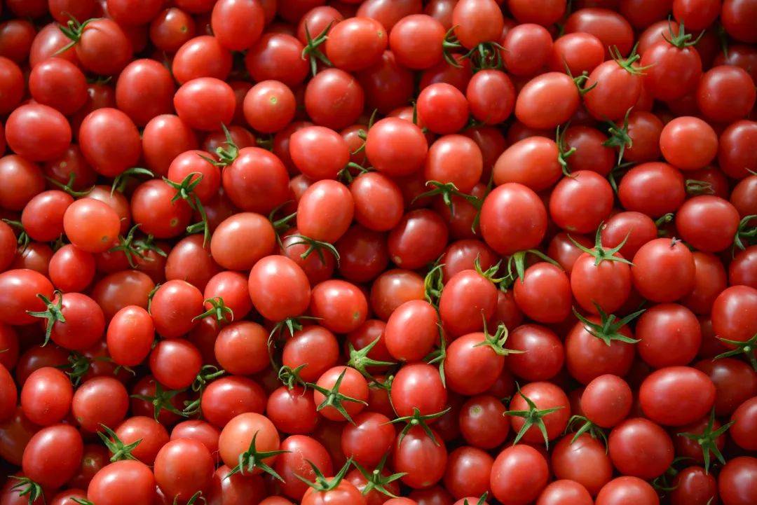 辰颐物语海南千禧亦蔬亦果口口爆汁口感吊打普通小番茄