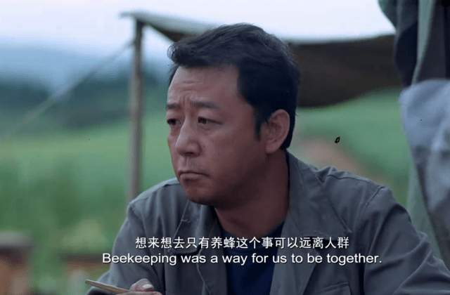 尸体|《落叶归根》14年,主角退隐江湖,十配角有人去世有人正当红!!