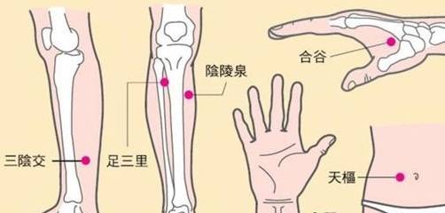 补充|白话《黄帝内经》：让你享受“胃”健康的生活