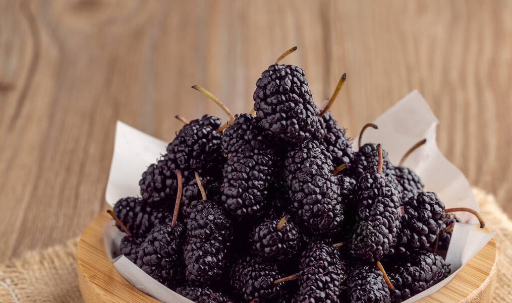 生桑葚怎么煮水喝 9f7d46337f5446edb4de42fba22e7695.jpeg