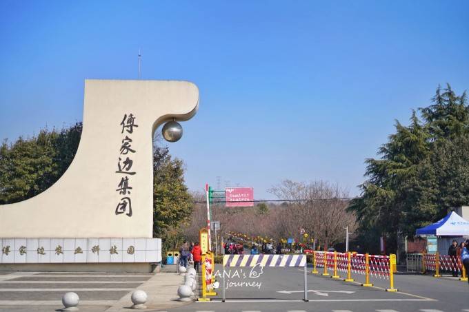 南京的这个免费科技园,是赏梅拍照的好去处_梅花_傅家边_粉色